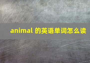 animal 的英语单词怎么读